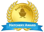 chicken hatchery award chicken hatchery award